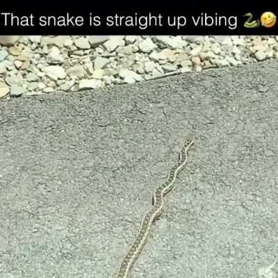 Ain't nothin' gonna break-a my stride
