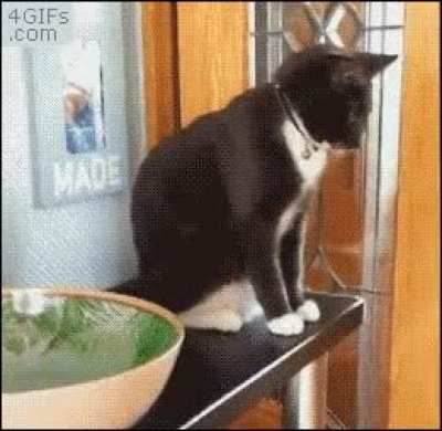 No! I said milk.