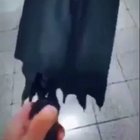 Arachnibrella The Destroyer