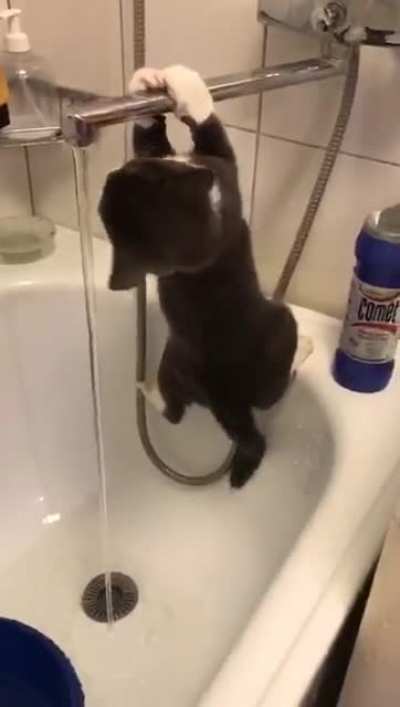 Funny cat let me continue filming and not help at all