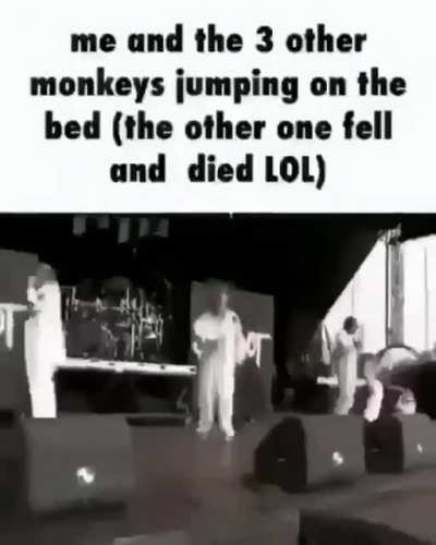 Rest in peace monkey