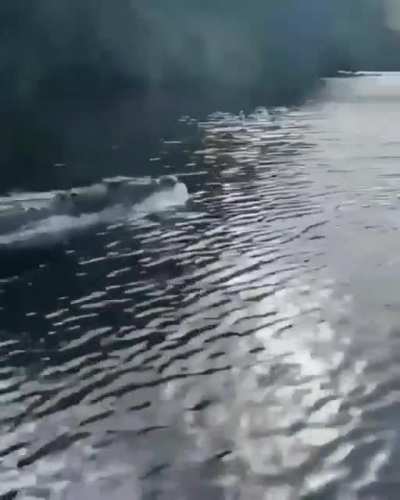 What a lovely day on the rive-OH FU**