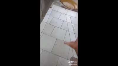 Indestrutível