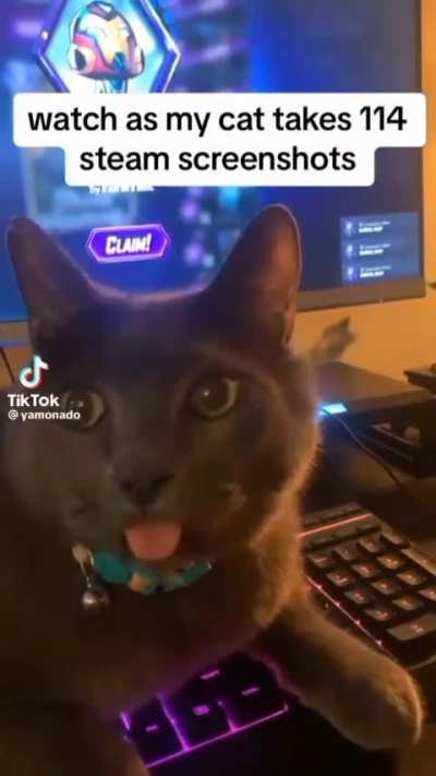 Gamer wunk