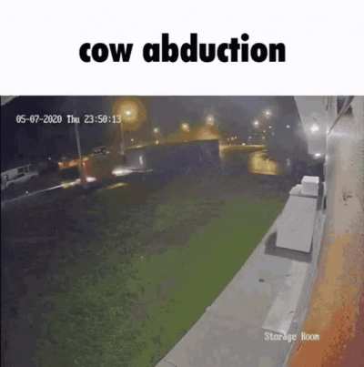 Cow Abduction