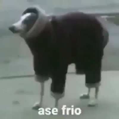 Carlos