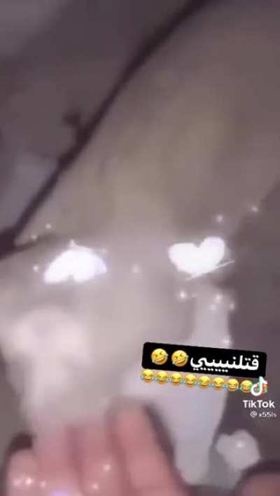 Gotta love Arabic tiktok
