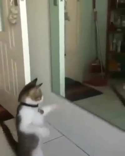 Reflectivity wunks