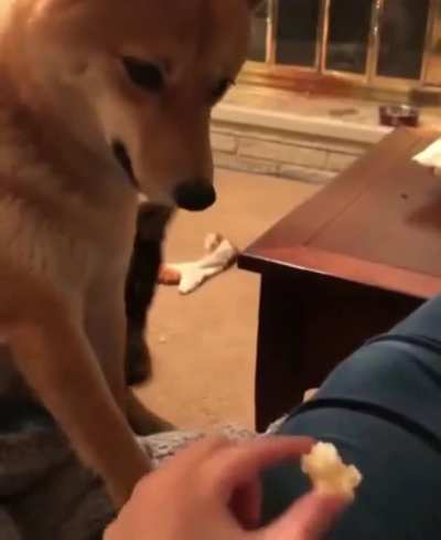 He had never seen such bullshit