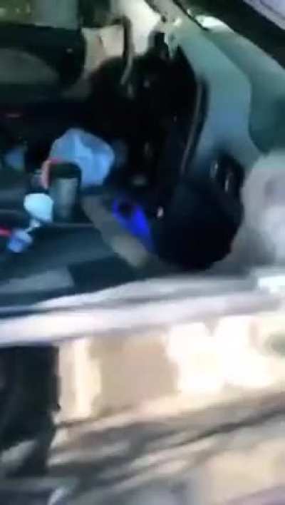 And here I was wondering Why my car was a mess