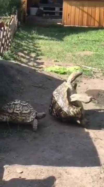 WoT without any context