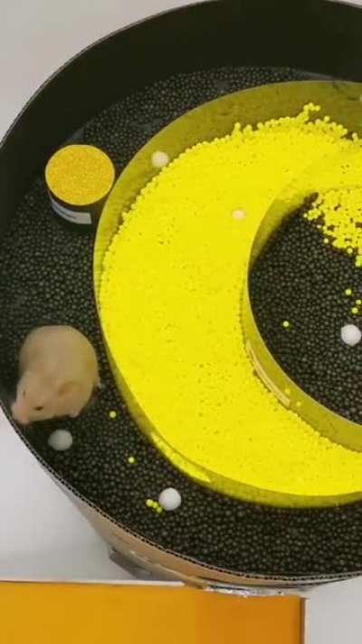 Hamster starship