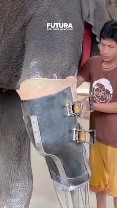 new leg