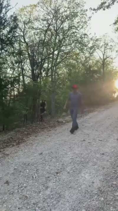 Nononoyes