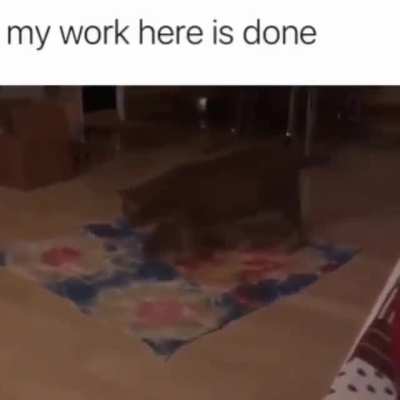 .....