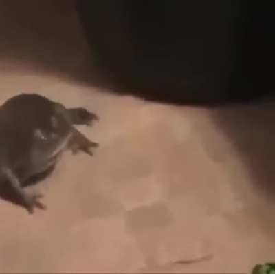 My apologies if this was posted here before