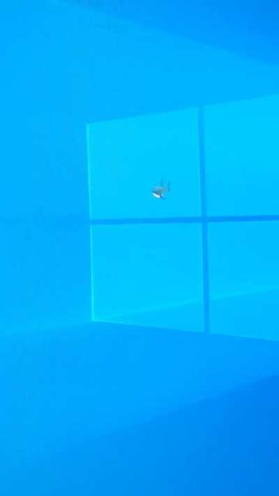 Made Blåhaj into a mouse cursor 