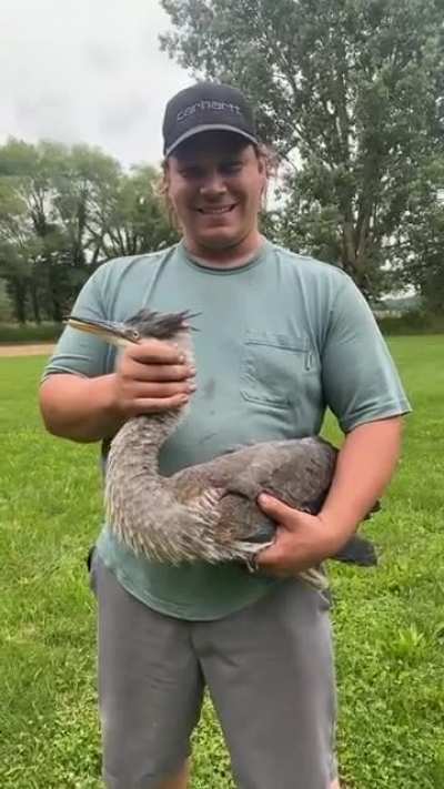 What a cute bird