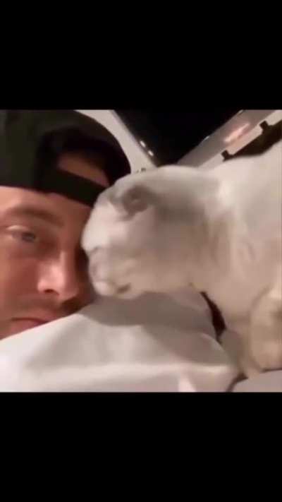 his breath probably stinks