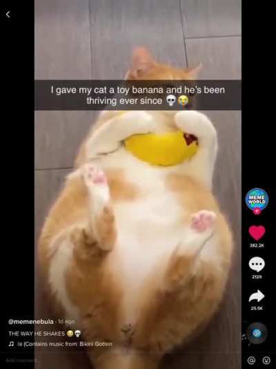 Toy banana