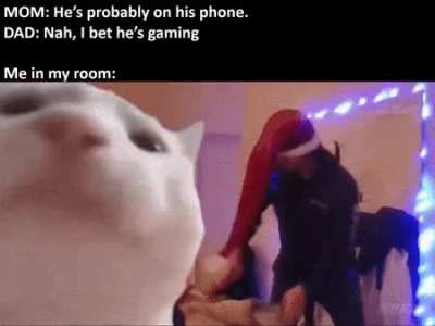 *INSERT CAT VIBING SONG*