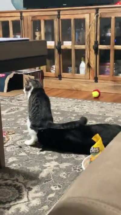 “I sit where I want to sit.”
