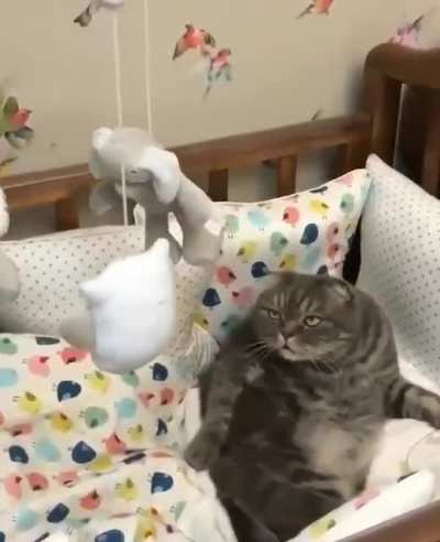 touch tha sides