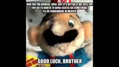 The Mario Brothers are true working class heroes