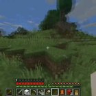 “That's the Enderman, right?”