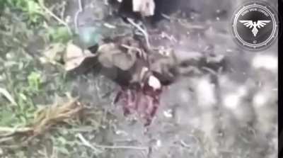 Russian soldier crouching up against a tree takes a direct FPV hit. Video by the Strike Drone Company (47 OMBr).