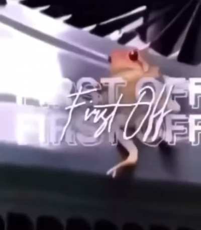 ☝🏼, ☝🏼,☝🏼, ⌚️… 💨
