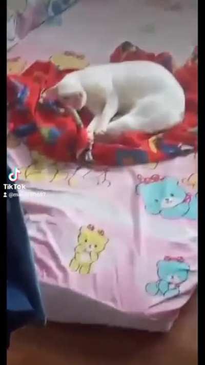 Here is a video of my bestfriend of 13 years...
