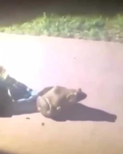 Is he alive even?