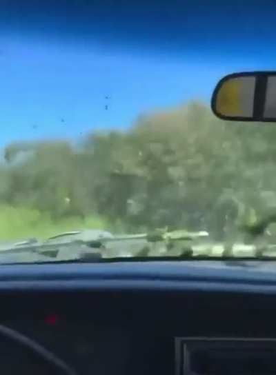 I’m thinking this is a jeep based off the steering wheel. I just need confirmation.