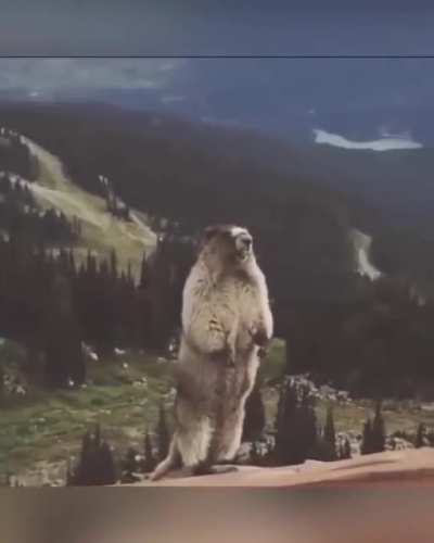 Bitch who is you yelling at?