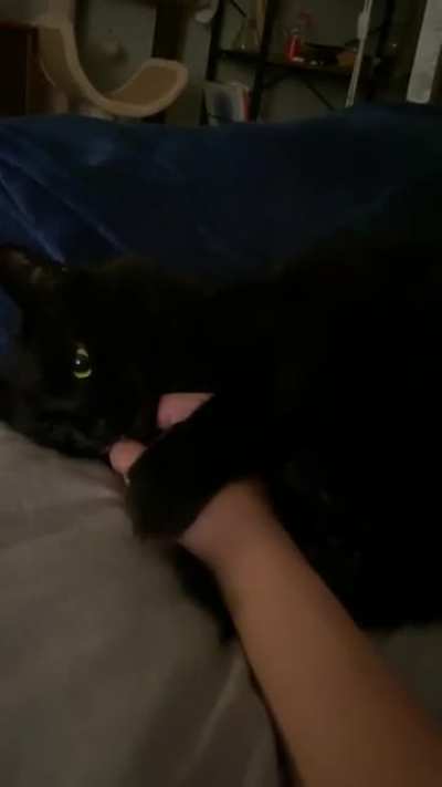 she’s toothless until i try to take my hand back