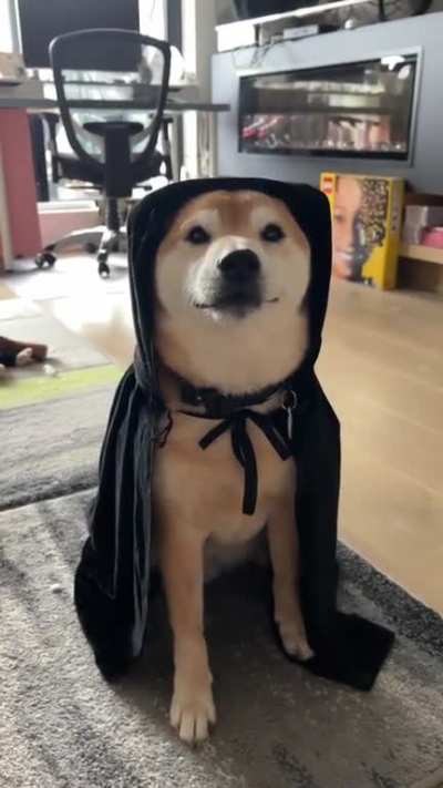 AVADA KADEVRA