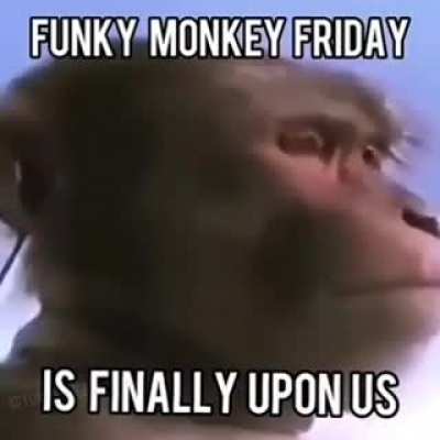 2nd funky monkey friday