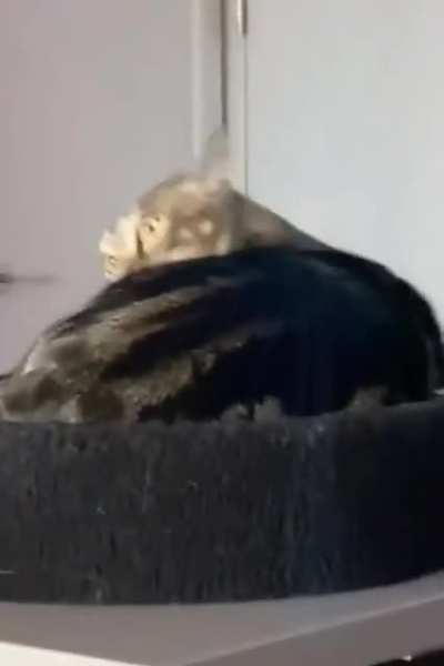 Bro, you ok?