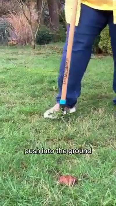 Simple Step-and-Pull Weed Remover Tool