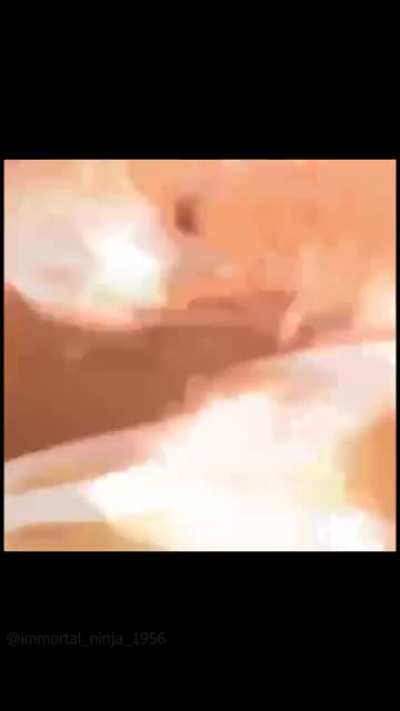 its my OC, (couldn't decide what flair to use, as it is a meme too so...)