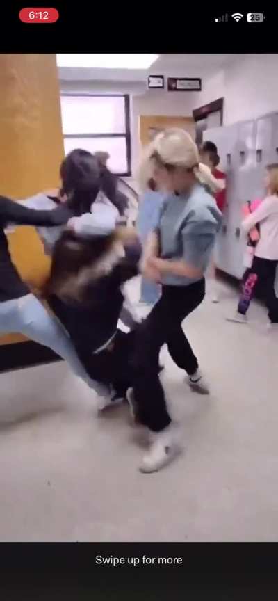 2v2 girl fight 