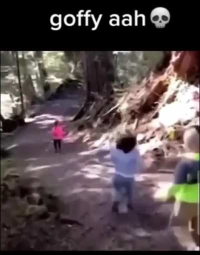 🐖