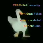 Nao vi peitinhos ate agora