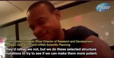 Pfizer director of research and development