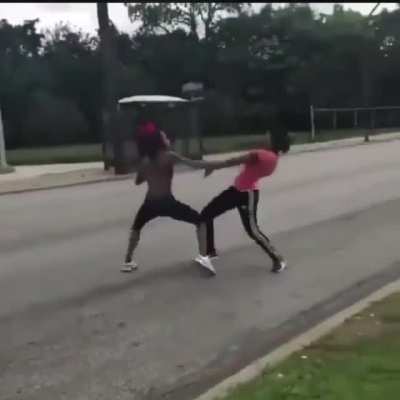 Honking at fights gone wrong 😹 ⠀