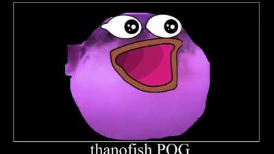 I got invited in a thanofish discord so I made this meme for them