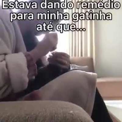 a gata foi de Reilings
