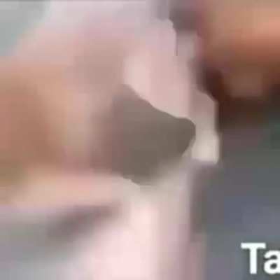 AAAAAAAA