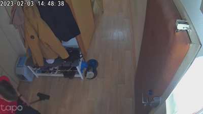 Cat got stuck in a paper bag, turned into a rocketship